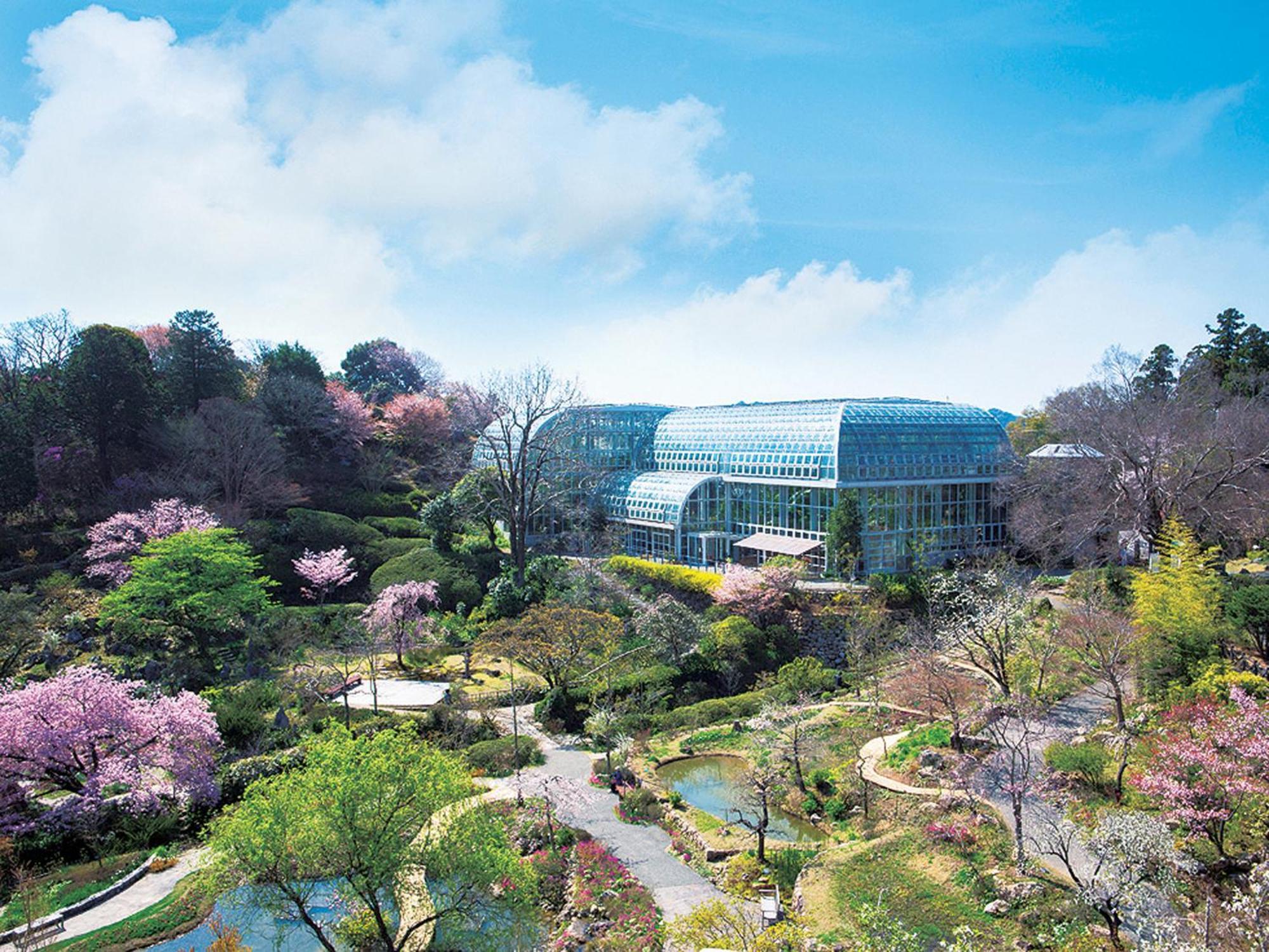 The Crown Palais New Hankyu Kochi Dış mekan fotoğraf